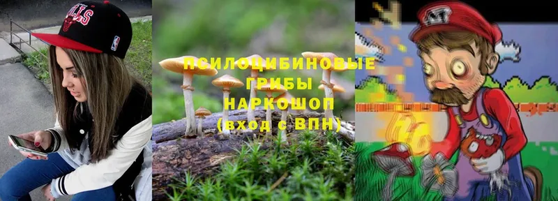 Галлюциногенные грибы Magic Shrooms  где продают наркотики  blacksprut рабочий сайт  Орёл 